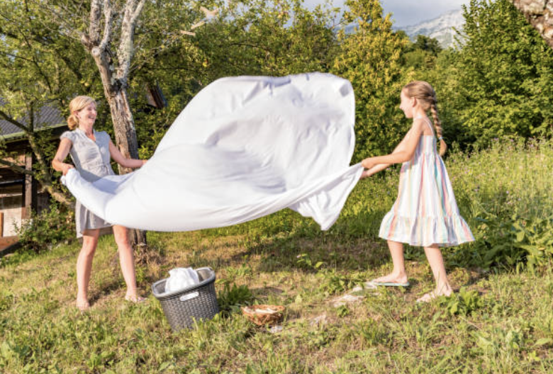 Mosquito Nets Cleaning